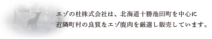 エゾの杜株式会社は、北海道十勝池田町を中心に近隣町村の良質なエゾ鹿肉を厳選し販売しています。